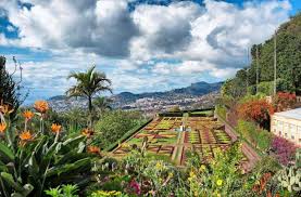 10 Reisetipps Fur Madeira Die Highlights Der Fruhlingsinsel Blick Madeira Urlaub Insel Reisen