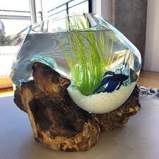 Anda bisa mendekorasi banyak hal untuk interior rumah, salah satunya adalah dengan menambahkan aquarium. Jual Akuarium Ikan Cupang Size Xl Aquarium Unik Kota Bandung Gerai Ipul Tokopedia