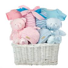 Get Double The Fun With Our Sweet Twin Baby Gift Baskets My Baskets