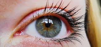 Human Eye Anatomy Acuvue Brand Contact Lenses