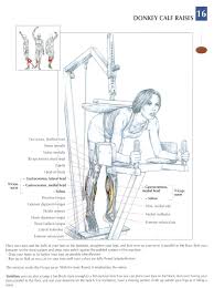 Imgur Post Imgur Fun Bilder Bilder Anatomie