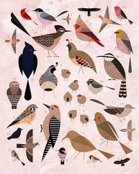 Birds Of The Southwest Desert Pin On Southwest