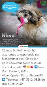 A faixa é uma peça mais nova usada pelo imperador em grandes solenidades, como a abertura e o. 25 Best Memes About Dom Pedro Dom Pedro Memes