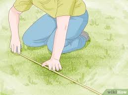 We did not find results for: 3 Ways To Pebble A Garden Wikihow