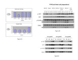 56 din 25 ianuarie 2012pentru aprobarea criteriilor şi normelor de diagnostic clinic, diagnostic funcţional şi de evaluare a publicat în monitorul oficial nr. An Efficient Procedure For Protein Extraction From Formalin Fixed Paraffin Embedded Tissues For Reverse Phase Protein Arrays Proteome Science Full Text