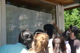 Cadre didactice debutante, care au ocupat posturi didactice/ catedre vacante publicate pentru. Titularizare 2019 Peste 27 000 De CandidaÈ›i ParticipÄƒ La Proba ScrisÄƒ A Examenului Stirileprotv Ro
