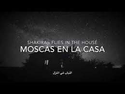 Mis dias sin ti son tan oscuros tan largos tan grises mis dias sin ti. Shakira Moscas En La Casa English Lyrics Ù…ØªØ±Ø¬Ù…Ø© Youtube