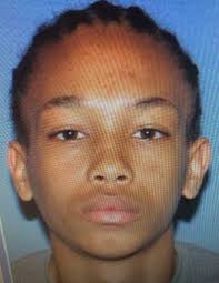 Wayne County Sheriff