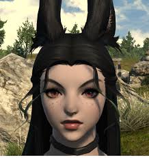 We did not find results for: Ffxiv Feathered Hair Novocom Top