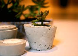 I was surprised when my large planter broke. Easy Diy Mini Concrete Planters For Succulents