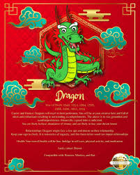 Image result for Dragon SY-252