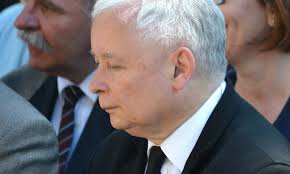 Nie od dziś wiadomo, że jarosław kaczyński jest miłośnikiem kotów. Jak Ma Na Imie Kot Kaczynskiego Prezes Pis Futrzakowi Pozwala Na Wszystko Pikio