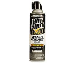 Here are some of the top products in this category that you can get today and deal with your problem once and for all. Hot Shot Wasp And Hornet Killer 14 Oz Big Lots