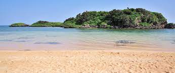 We did not find results for: Mybestplace Hoshizuna No Hama The Starry Beach Of Okinawa