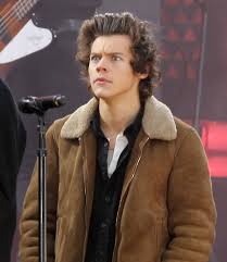 Sounds perfect wahhhh, i don't wanna. Harry Styles Mistakenly Named Father Of Royal Baby On Mexican Television