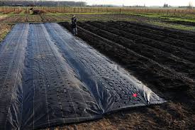 Landscape fabric (aka weed barrier) rarely suppresses weeds well. Growing With Landscape Fabric Floret Flowers