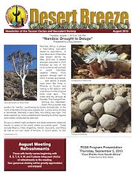 What should i name my baby cactus? Pdf Attempted Suicide By Agave Agave Gigantensis Found In Baja California