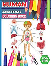 Download Human Anatomy Coloring Book For Kids Anatomy Coloring Teaching Body Parts Basic Coloring Books For Kids Human Body Color Book Human Anatomy Workbook Great Science Gifts For