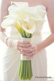 Maybe you would like to learn more about one of these? 30 Stylish Single Bloom Wedding Bouquets Single Bloom Wedding Bouquets White Calla Lil Calla Lily Bouquet Wedding Hand Bouquet Wedding Flower Bouquet Wedding