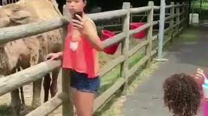 Occurred tierpark chemnitz zoo, germany june 2016. Shocking Terrifying Video Of A Camel Biting A Girl S Head While Taking Selfie Youtube