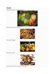 Dari sekian banyak buah yang ada, ternyata beberapa di antaranya. Buah Buahan Tempatan Di Malaysia