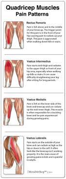 Strains can range from a mild discomfort to a full blown tear of most of the muscle which can result in. Quadriceps Muscle Strain