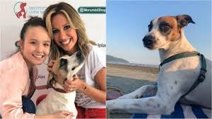 Qd vc vai na festa no dia errado olha cara do enzokkkk #pradarrisada #abestada quem nunca? просмотры: Luisa Mell Desabafa Sobre Polemica Envolvendo Cao Vira Lata De Larissa Manoela Atriz Rebate Criticas