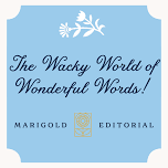 The Wacky World of Wonderful Words! Poetry Workshop