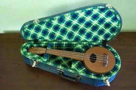 Picture Of A Cardboard Ukulele Case Learntoplayukulele Ukulele Case Ukulele Cool Ukulele