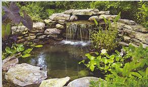 Water can help you create a small paradise in your garden. Ways To Make A Real Impact In Your Garden With A Water Feature Fabulously Green