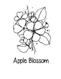 Every state in the union has its own unique symbols, many of which are a source of pride for residents. Arkansas State Coloring Pages By Loving Life In Kindergarten Tpt