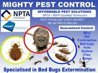 Able pest control in vauxhall. Pest Vermin Control Services Services In South West London London Gumtree