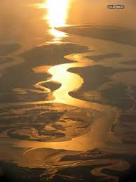 Pakistan Indus Delta Near Karachi Sindh Pakistan In 2020 Aerial View River Delta River