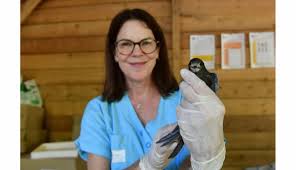 Naim darrechi cogiendo Video porno de Naim cogiendo en la