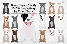 It came into existence in the early 1800s as a result of a cross between the game terriers and bulldogs. American Pitbull Terrier Clipart American Pitbull Terrier Pitbull Terrier Pitbulls
