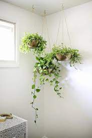 Diy Bedroom Decorating Ideas Domino Hanging Plants Indoor Indoor Plants Diy Living Room Plants