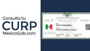 Aviso de privacidad simplificado de consulta de curp en línea. Ver Curp Aqui 2021 Paso A Paso Para Conseguir Tu Clave Unica De Registro En Internet Obten Tu Curp Hoy Coronavirus Registro En Mivacuna Salud Gob Mx Mx Estados