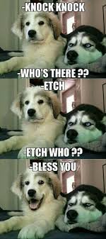Ok, let's dive right into these corny knock knock jokes. Top 10 Dog Knock Knock Jokes To Try On Your Friends And Your Dog