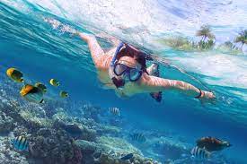 The Best Places To Snorkel In Thailand Best Snorkeling Beaches In Phuket Thailand Beaches