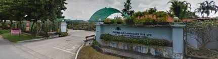 Maybe you would like to learn more about one of these? Pioneer Landscape Pte Ltd Plants Sales Garden Centre Landscaping Services Home Facebook