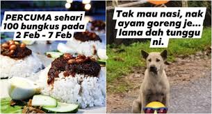Makan sotong kembang sambal di nasi lan kedah shah alam via www.belangtarung.com. Viral Nasi Lemak Stall Owner That Befriended A Stray Dog Is Now In Shah Alam Giving Out Free Food