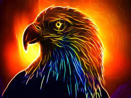 Right now, the game is on the rise because when you create a free fire account for the first time, it will ask you to choose your character name. Fire Eagle Free Images Pics Imagend Com Eagle Images Eagle Images Hd Wallpaper Images Hd