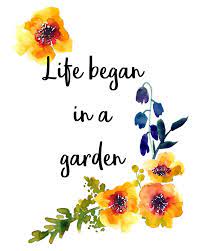 Garden Quote Life Began In A Garden Gift For Gardener Etsy In 2021 Gardening Memes Garden Quotes Gardening Quotes Inspirational
