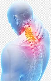 Sakit tulang belakang tengah atas. Sendi Nyeri Leher Herniasi Tulang Belakang Vertebra Serviks Kolom Vertebral Penyakit Diskus Degeneratif Punggung Manusia Nyeri Punggung Tengah Nyeri Punggung Rendah Sakit Punggung Serviks Vertebra Serviks Png Pngwing