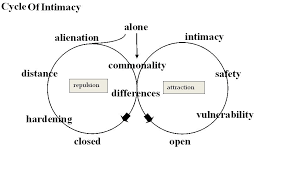 Intimacy Relationship Therapy Emotional Resilience Couples Therapy