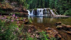 We did not find results for: Hd Wallpaper Pc Nature Beauty 2048x1152 Wallpaper Flare