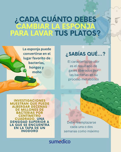 🧽⚠️ Tu esponja de cocina puede ser un nido de bacterias Aunque es nuestra primera línea contra la grasa y restos de comida, también puede acumular hongos, moho y gérmenes. Aprende cada