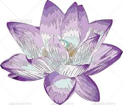 Purple Lotus Flower Vector Graphics Design Purple Flowers