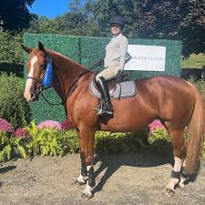 Michele Philip and her Image de Toxandria had a great showing at Old Salem  earning themselves a 🥇in the .85s!