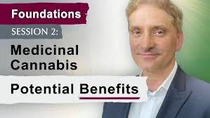 2020 Veterans and Medical Cannabis Roundtable Discussion